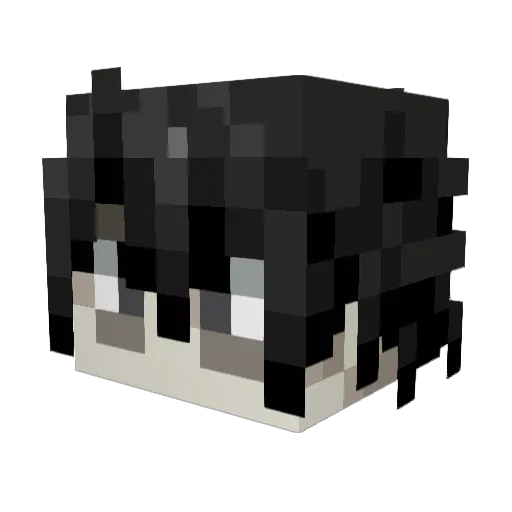 Zardy64 Minecraft avatar head, 3D render