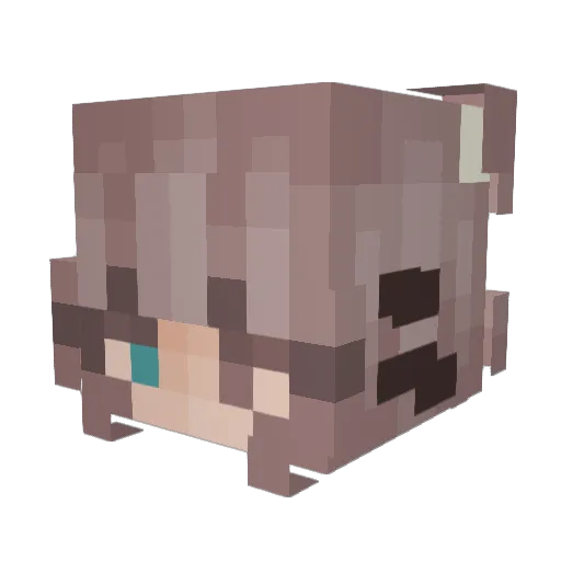 Zarelis Minecraft avatar head, 3D render