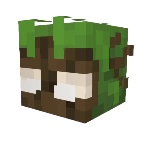 Zarepoc Minecraft avatar head, 3D render