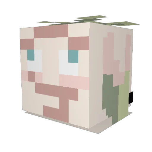 Zargnoid Minecraft avatar head, 3D render