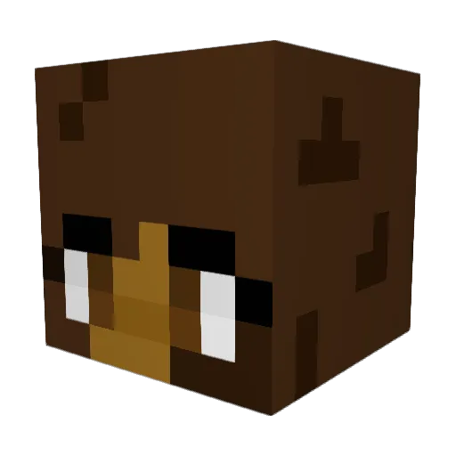 Zaria14 Minecraft avatar head, 3D render