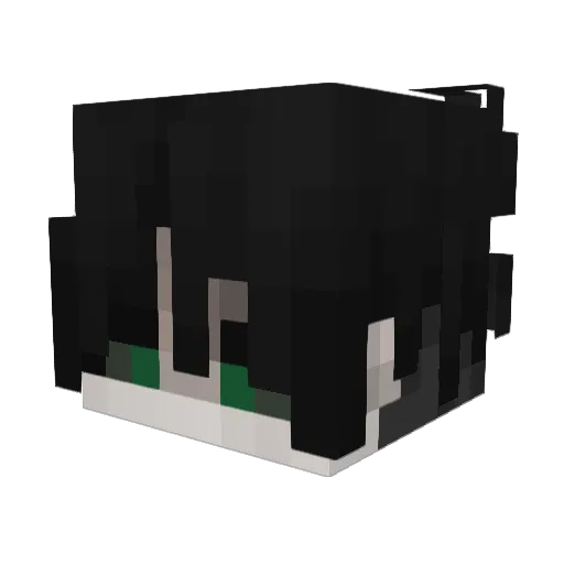 Zarioneson Minecraft avatar head, 3D render