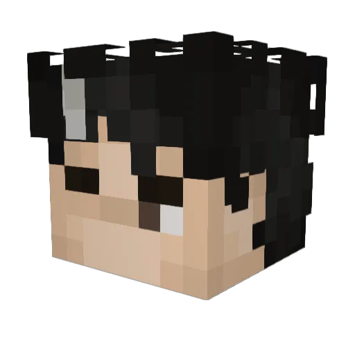 Zarkares_ Minecraft avatar head, 3D render