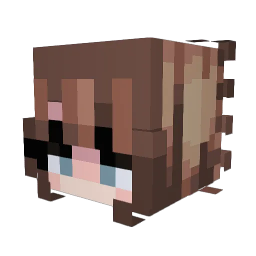 Zarkrockss Minecraft avatar head, 3D render