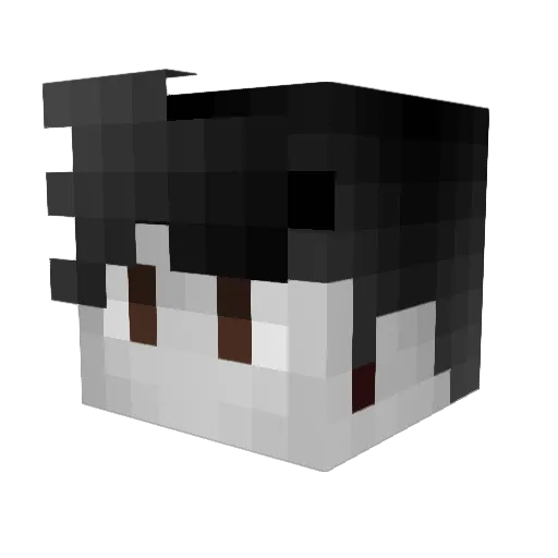 Zaro21 Minecraft avatar head, 3D render