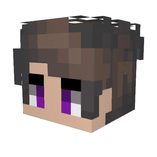 Zarock200 Minecraft avatar head, 3D render