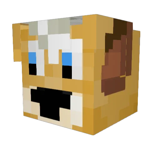 Zarok320 Minecraft avatar head, 3D render