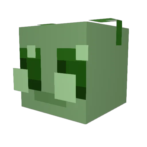 ZartnFart Minecraft avatar head, 3D render