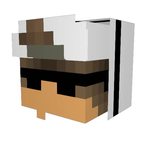 Zaruk1798 Minecraft avatar head, 3D render