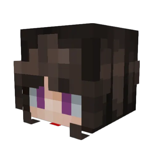 Zarvixz Minecraft avatar head, 3D render