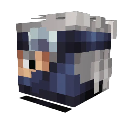 Zarwo Minecraft avatar head, 3D render