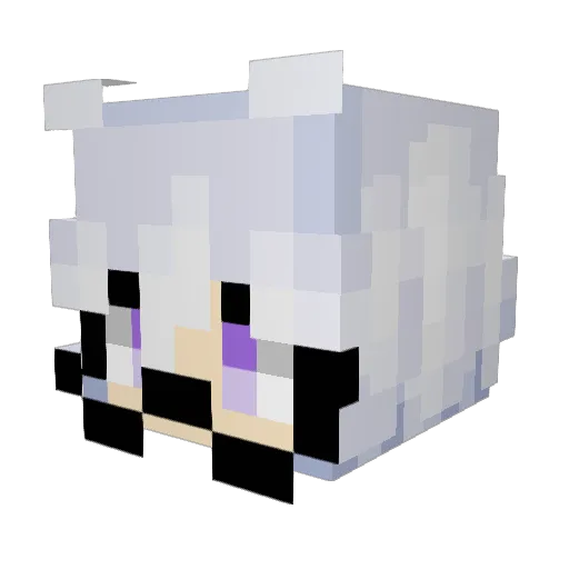 ZaryliaGymnast64 Minecraft avatar head, 3D render