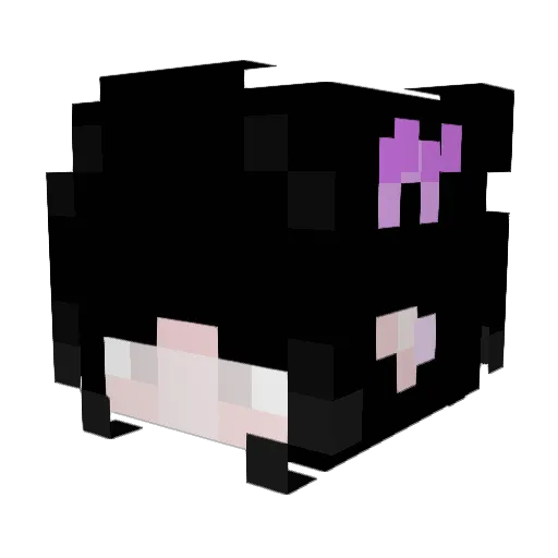 ZasaZons Minecraft avatar head, 3D render
