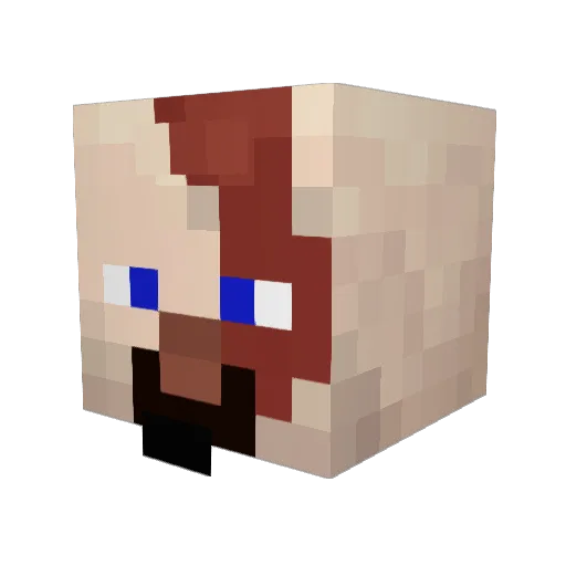 Zasleman Minecraft avatar head, 3D render