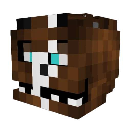 Zaspermie Minecraft avatar head, 3D render
