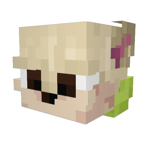 ZasyaMaple Minecraft avatar head, 3D render