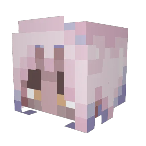 Zatchos Minecraft avatar head, 3D render