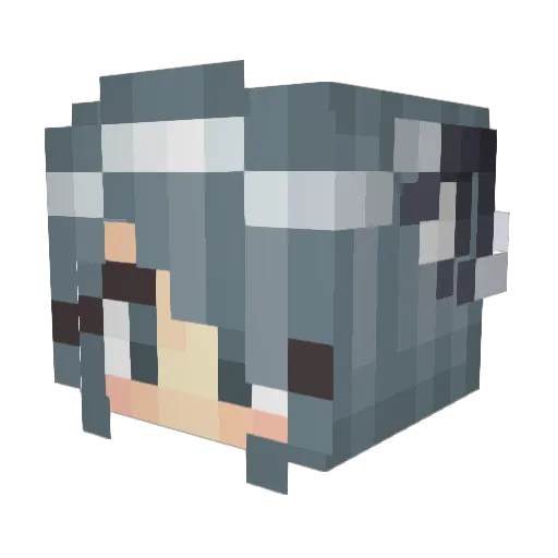 Zatomeku Minecraft avatar head, 3D render
