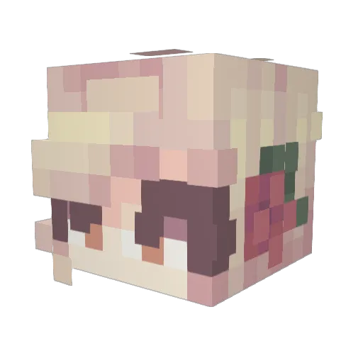 Zatori Minecraft avatar head, 3D render