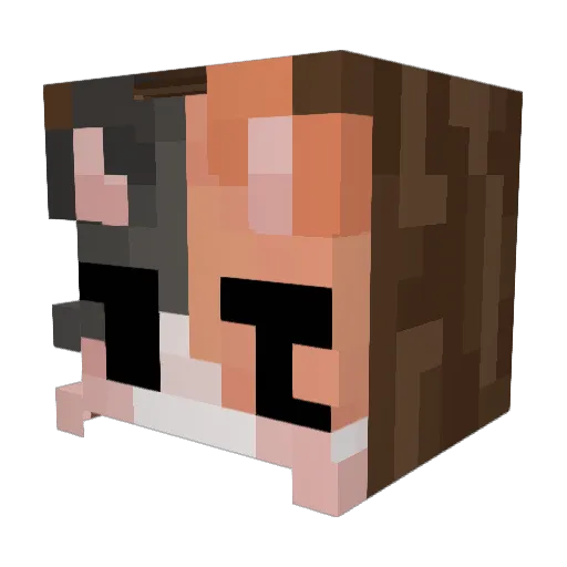 ZattaZYX Minecraft avatar head, 3D render