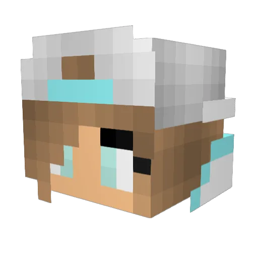 Zattinha Minecraft avatar head, 3D render