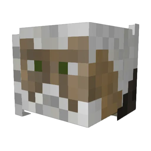 Zauuban Minecraft avatar head, 3D render