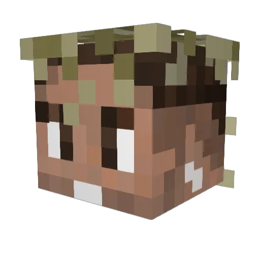 Zavloh Minecraft avatar head, 3D render