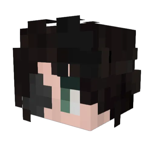 Zawarka03 Minecraft avatar head, 3D render