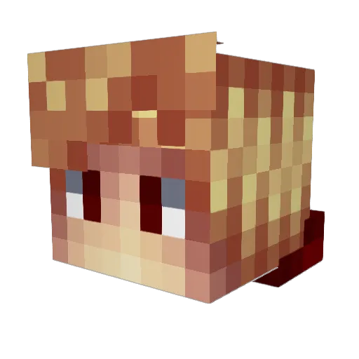 Zawkie Minecraft avatar head, 3D render