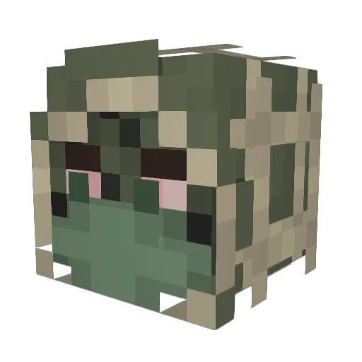 Zaxter862 Minecraft avatar head, 3D render