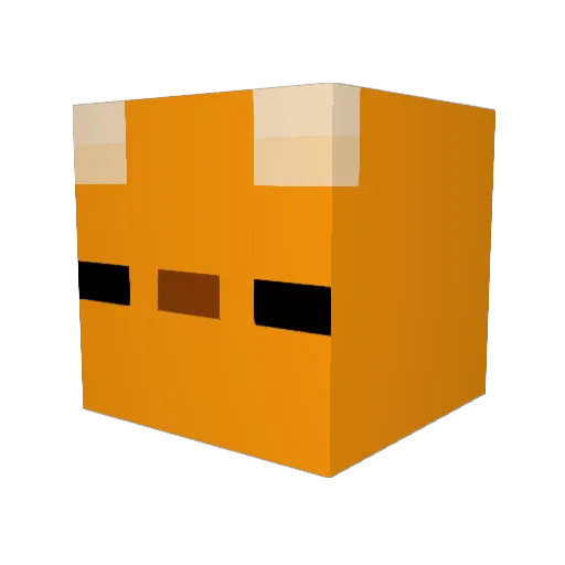 ZayFeeR Minecraft avatar head, 3D render