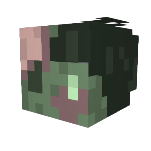 Minecraft-Avatar von Zayedin: Kopf als 3D-Render