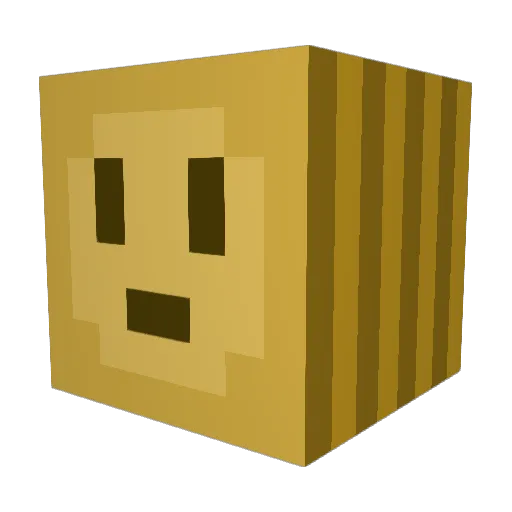 ZayhR01 Minecraft avatar head, 3D render
