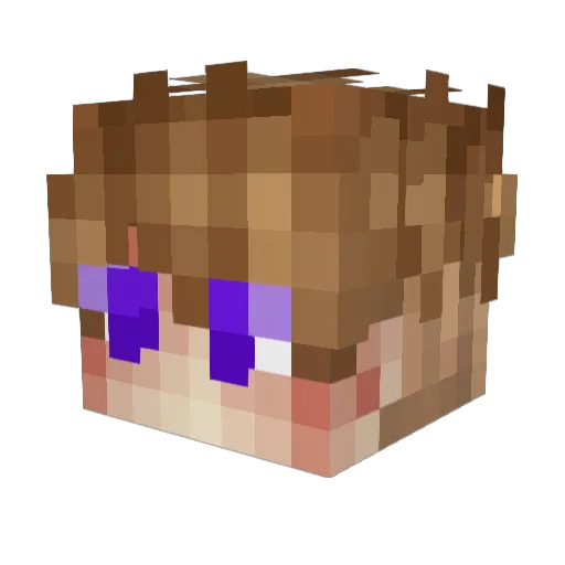 Zayko_03 Minecraft avatar head, 3D render