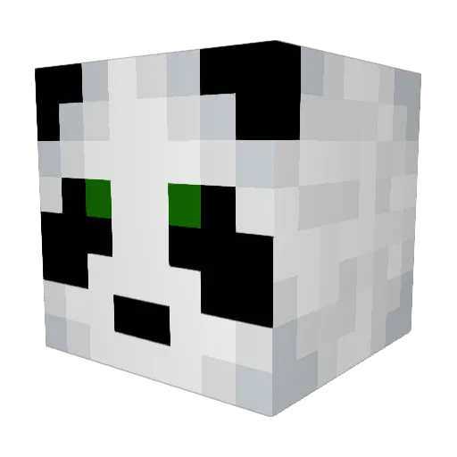 Zaykosmos Minecraft avatar head, 3D render