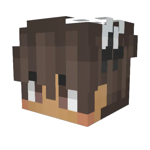 Zaylick Minecraft avatar head, 3D render
