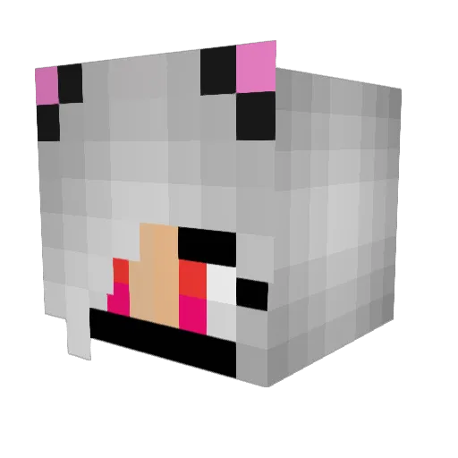 Zayn1010 Minecraft avatar head, 3D render