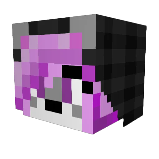 ZayneTiF Minecraft avatar head, 3D render