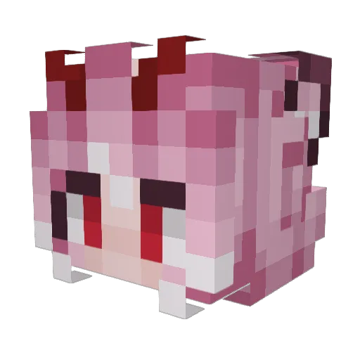 ZayneyLeyana Minecraft avatar head, 3D render