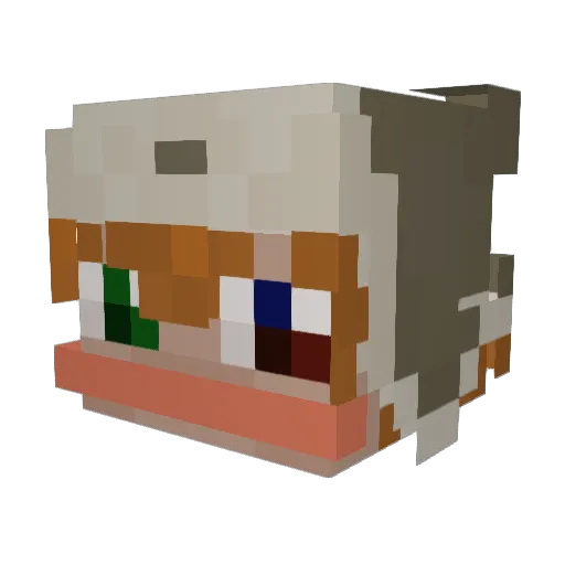 Zaynou_ Minecraft avatar head, 3D render