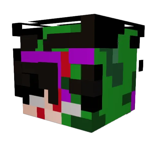 Zayt209 Minecraft avatar head, 3D render