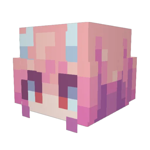 Zaytau Minecraft avatar head, 3D render