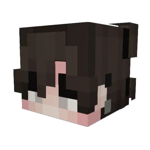Zayvex7 Minecraft avatar head, 3D render