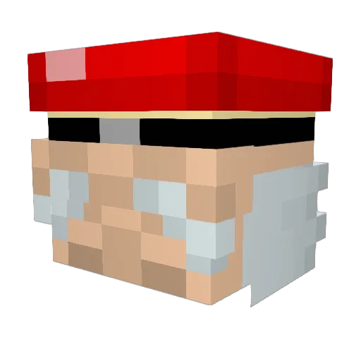 Zayy6 Minecraft avatar head, 3D render