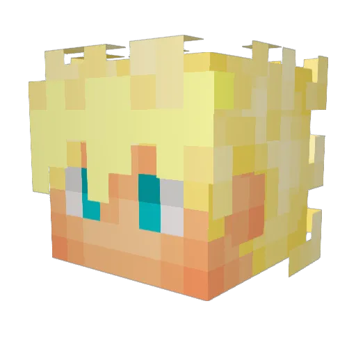 Zayyyyy11 Minecraft avatar head, 3D render