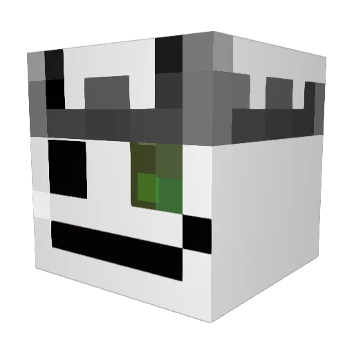 Zazu14 Minecraft avatar head, 3D render