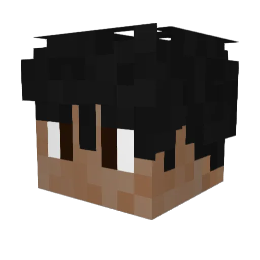 Zazu_24 Minecraft avatar head, 3D render