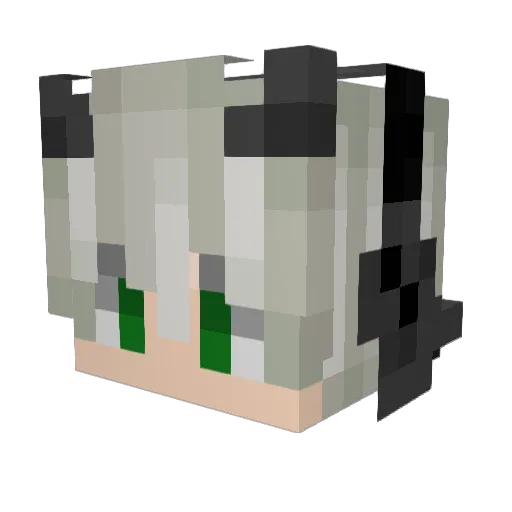 Zbast92 Minecraft avatar head, 3D render
