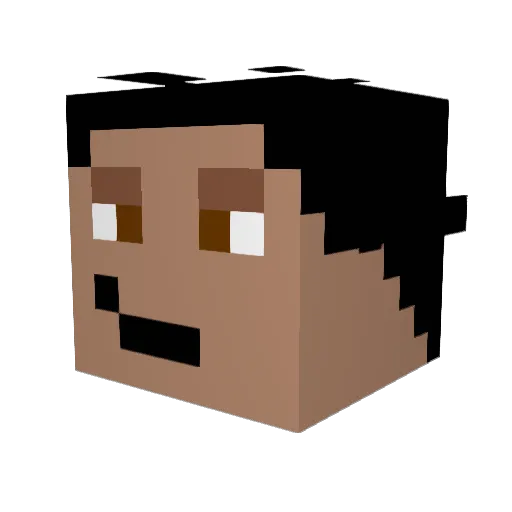 Zbigniew_PL Minecraft avatar head, 3D render