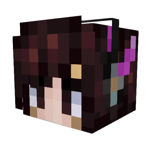 Zbobox Minecraft avatar head, 3D render